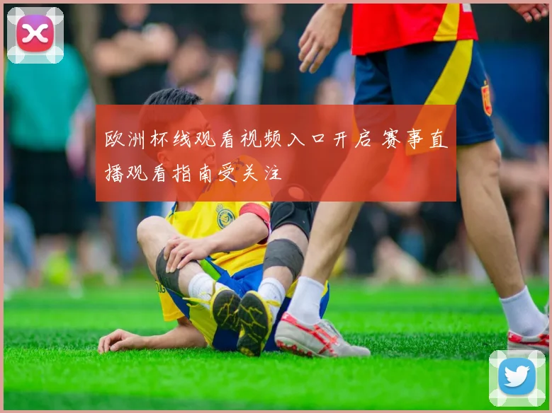 欧洲杯线观看视频入口开启 赛事直播观看指南受关注